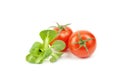 Valerianella locusta, corn salad, cherry tomato, lamb's lettuce Royalty Free Stock Photo