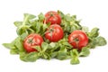 Valerianella locusta, corn salad, cherry tomato, lamb's lettuce Royalty Free Stock Photo