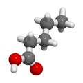 Valeric acid molecule. Smelly molecule, present in the plant valerian Valeriana officinalis.