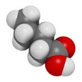 Valeric acid molecule. Smelly molecule, present in the plant valerian Valeriana officinalis.