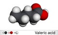Valeric acid, pentanoic acid or valerate molecule. Molecular model