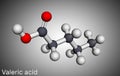 Valeric acid, pentanoic acid or valerate molecule. Molecular model