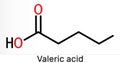 Valeric acid, pentanoic acid or valerate molecule. Skeletal chemical formula