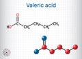 Valeric acid, pentanoic acid or valerate molecule. Structural chemical formula and molecule model. Sheet of paper in a cage