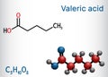 Valeric acid, pentanoic acid or valerate molecule. Structural chemical formula and molecule model