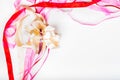 Valetine`s day, Mother`s day, birthday concept - Colorful ribbon Royalty Free Stock Photo