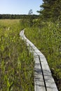 Valgejarve nature study trail in Estonia