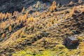 Valgerola IT - Typical mountain hut