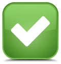 Validate icon special soft green square button