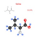 Valine is an essential amino acid. Chemical structural formula and model of molecule