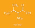 Valine l-valine, Val, V amino acid molecule. Skeletal formula.