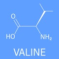 Valine or l-valine, Val, V, amino acid molecule. Skeletal formula.