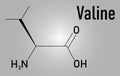 Valine or l-valine, Val, V, amino acid molecule. Skeletal formula.