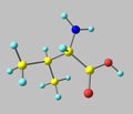 Valine molecule isolated on grey