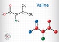 Valine, Val molecule, is ÃÂ±-amino acid . It is used in the biosynthesis of proteins. Sheet of paper in a cage. Structural chemical Royalty Free Stock Photo