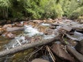 Valira del Orient wild river Royalty Free Stock Photo