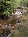 The Valira de Orient river at Llorts village in Andorra Royalty Free Stock Photo