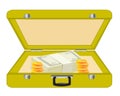 Valise with money