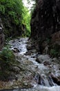 Valja River Gorge Royalty Free Stock Photo