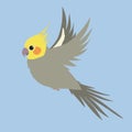 An illustration of a flying cockatiel