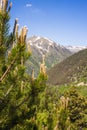 Vall de Sorteny nature park Andorra Pyrenees Royalty Free Stock Photo