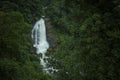 Vallam waterfall on Cochin Munnar Road, Munnar Hill station,Kerala,India