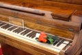 A fragment of a piano with two roses on the keys, from the Chopin and George sand Museum in
