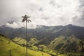 Valle de cocora palmera y montaÃÂ±as. Salento, eje cafetero. Colombia