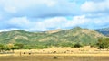 Valle de los Ingenios Sugar mills valley near Trinidad, Cuba. Famous tourist destination and major sugarcane area