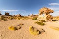 Valle de Rocas, or Stone Valley, in southern Bolivia