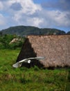 Valle de vinales Royalty Free Stock Photo