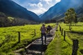 Valle del Cocora