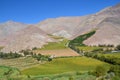 Valle del Elqui Royalty Free Stock Photo