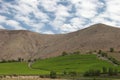 Valle del Elqui vineyard Royalty Free Stock Photo