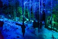 Vallea Lumina, the multimedia interactive forest walk in Whistler, BC Royalty Free Stock Photo