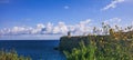 Valletta, Malta. Close up view to yellow wild flowers, blur fortress and sky and sea background Royalty Free Stock Photo