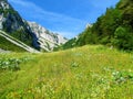 Valley above Ljubelj pass at Zelenica