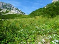 Valley above Ljubelj pass at Zelenica in Gorenjska region of Slovenia