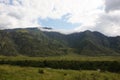 Valley in the Altai Mountains