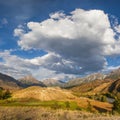 Valley in the Altai mountains on a summer day Royalty Free Stock Photo