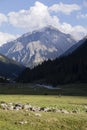 Valley of Altyn-Arashan during the late afternoon with deep shadows in Kyrgyzstan Royalty Free Stock Photo