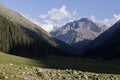 Valley of Altyn-Arashan during the late afternoon with deep shadows in Kyrgyzstan Royalty Free Stock Photo