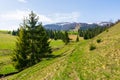 Valley of borzhava mountain ridge in springtime