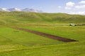 Valley of the caricatured plants and food Royalty Free Stock Photo