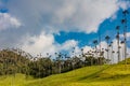 Valley Cocora Salento El Bosque de Las Palmas Quindio Colombia Royalty Free Stock Photo