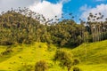 Valley Cocora Salento El Bosque de Las Palmas Quindio Colombia Royalty Free Stock Photo