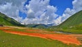 A valley colored with mineral springs, Truso Valley, Georgia.