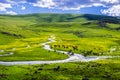 Valley Cows Royalty Free Stock Photo