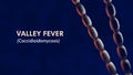 Valley Fever (coccidioidomycosis) caused by coccidioides immitis fungal spores. 3d rendered banner.