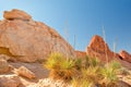 Valley of Fire landscape Royalty Free Stock Photo